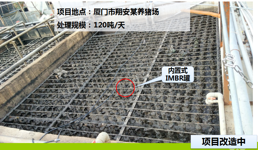 翔安某豬場污水處理案例